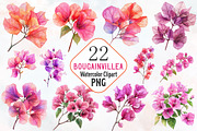 Bougainvillea Flower Watercolor PNG, a Seasonal Illustration by RobertsArt (Thumbnail 1 of 7)