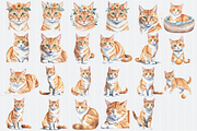 Watercolor Orange Cat Clipart, an Animal Illustration by Crafts of The Moon (Thumbnail 2 of 4)
