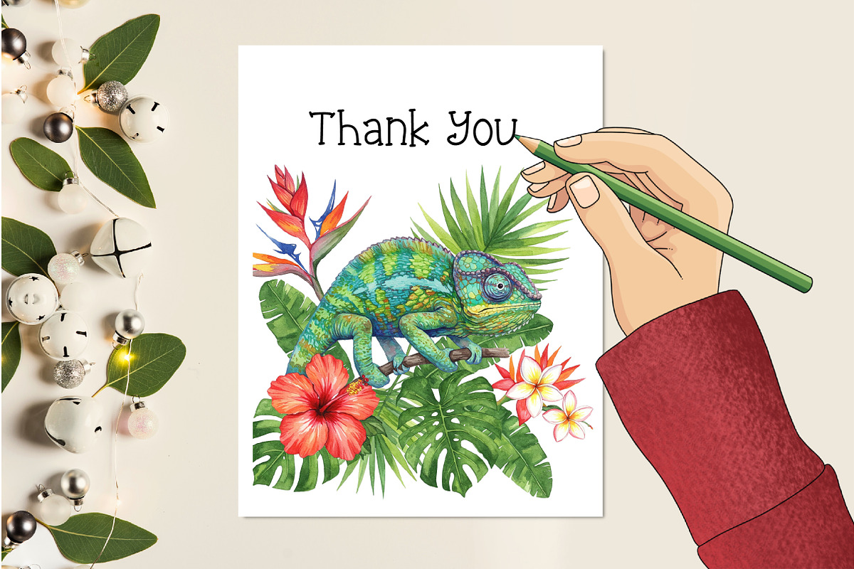 Watercolor Tropical Animals Clipart, an Illustration by Creative Art (Photo 6 of 9)