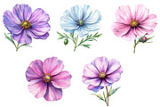 Watercolor Spring Cosmos Flower Clip, a Texture Illustration by DreamPrint404 (Thumbnail 5 of 7)