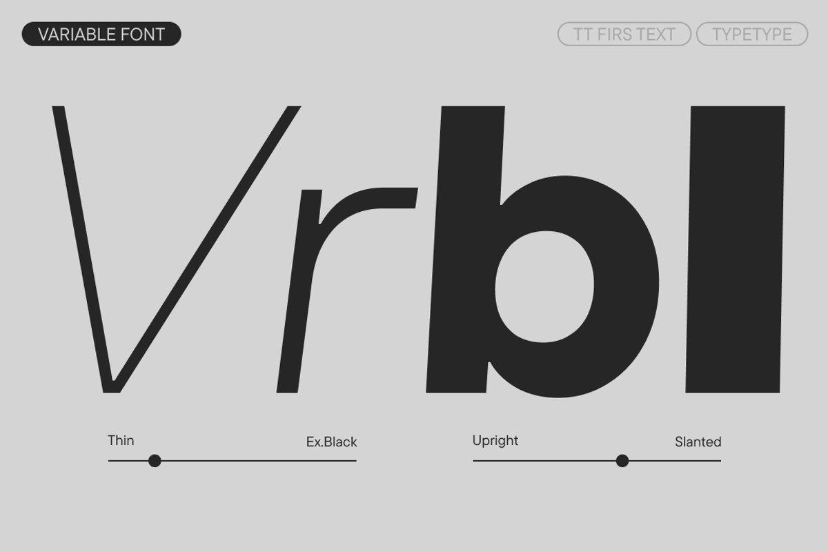 TT Firs Text, a Sans Serif Font by TypeType (Photo 5 of 15)