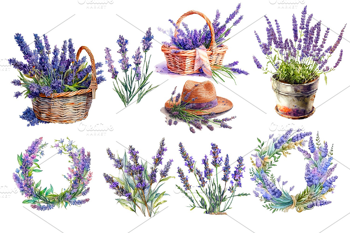 Lavender watercolor clipart, an Object Illustration by AkvarelRiver (Photo 2 of 8)