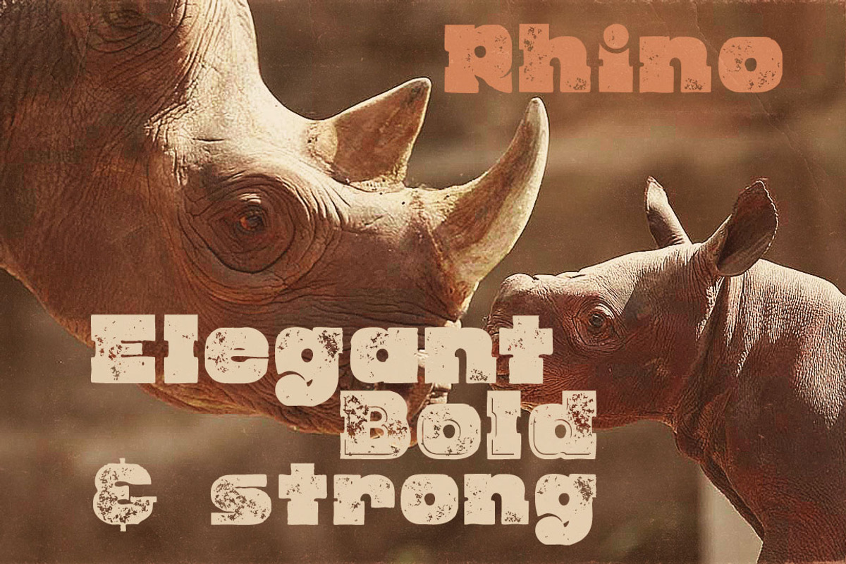 Rhino - Display Font preview 3
