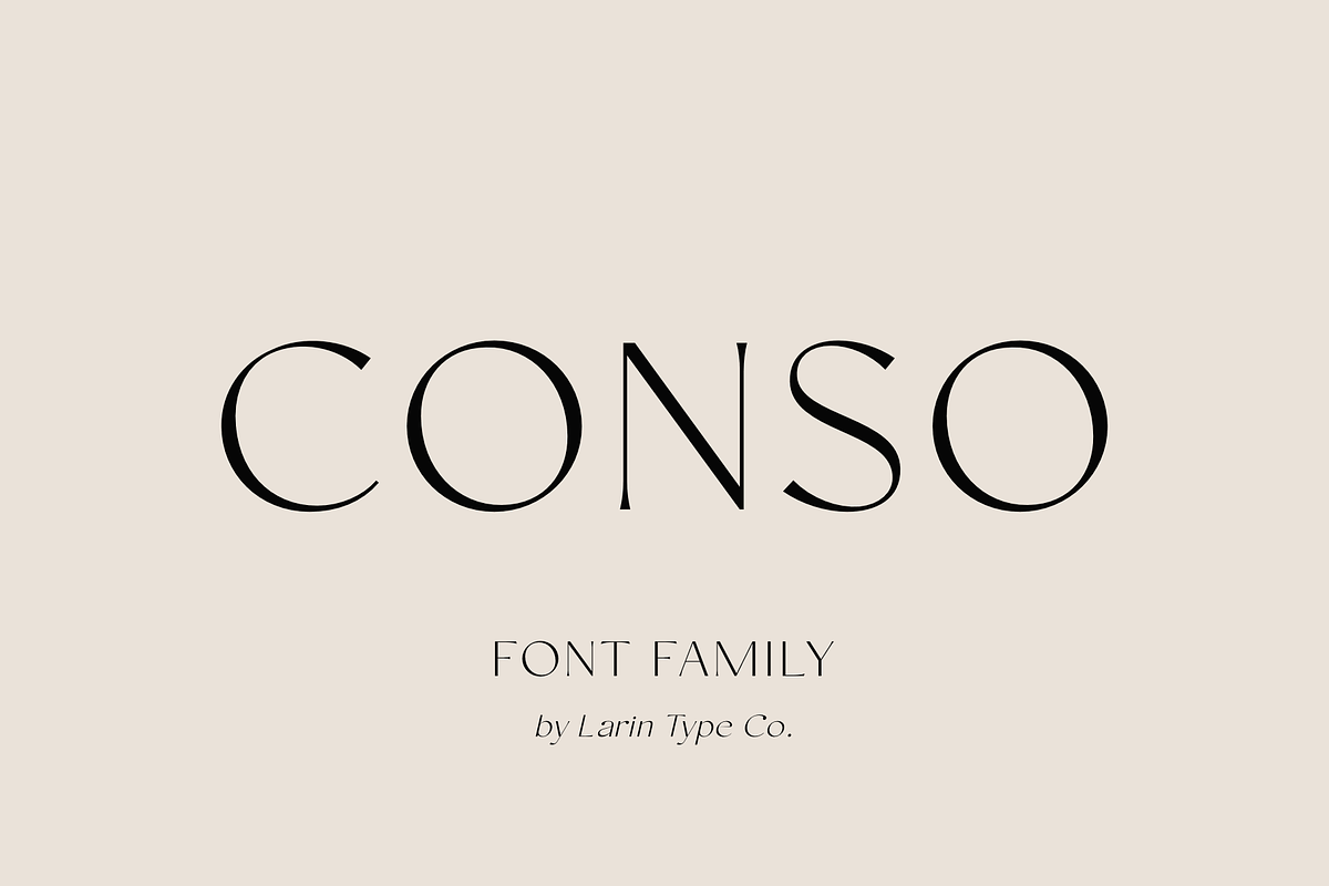 Conso | Font Family, a Sans Serif Font by Larin Type Co. (Photo 1 of 15)