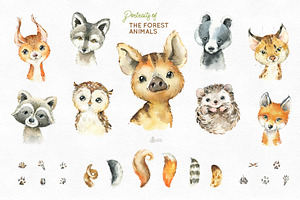 Woodland. Little Watercolor Animals