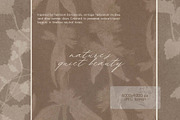 Silent Herbarium Botanical Textures, a Background Graphic by DigARTbyHavroshka (Thumbnail 5 of 11)