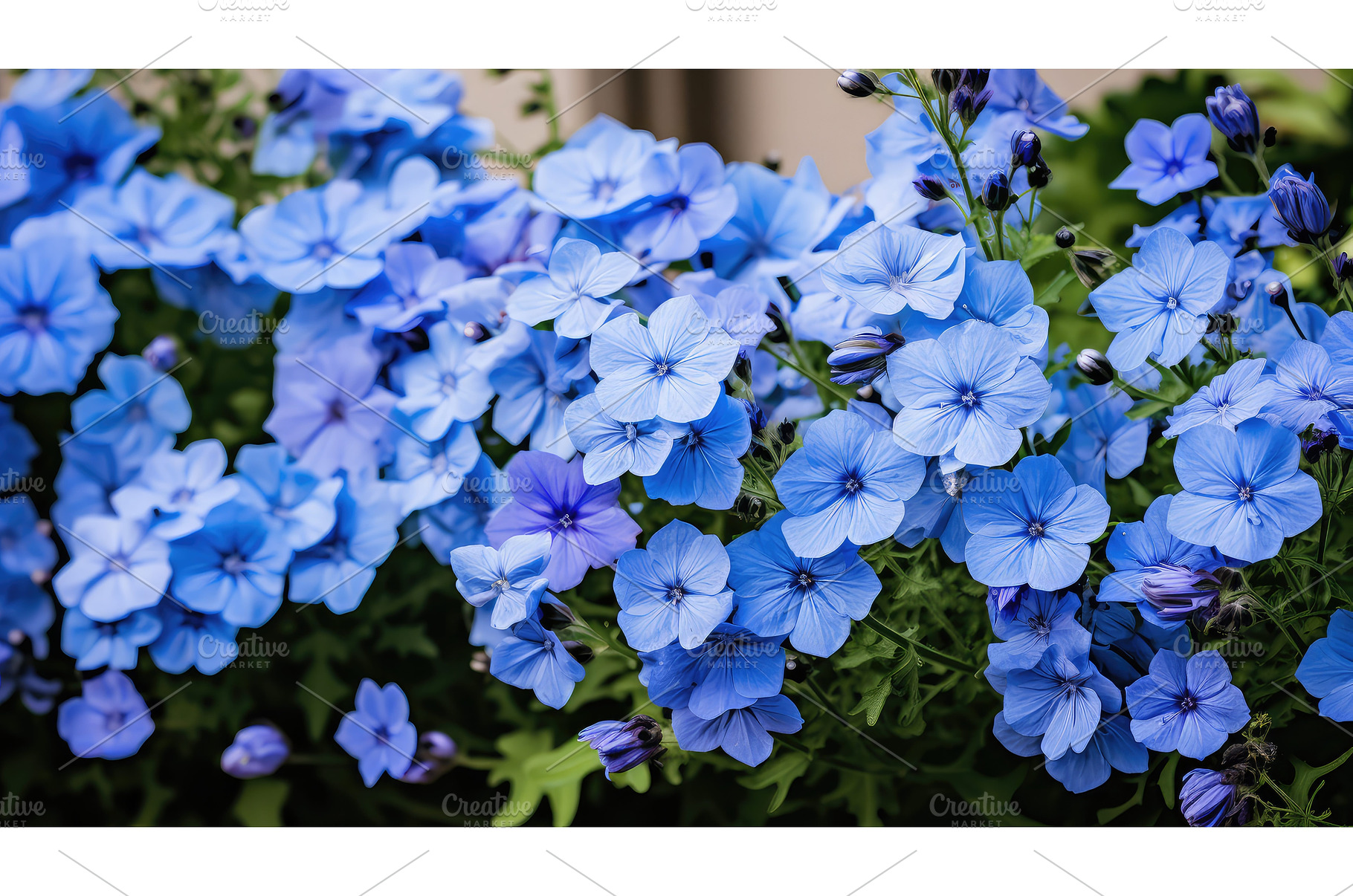 garden blue flower border ai, a Nature Photo by pikepicture