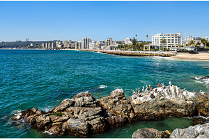 Coastline of Vina del Mar in Chile with pelicans on rocks