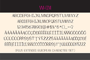 Whim Font Family, a Sans Serif Font by Typekirk (Thumbnail 6 of 9)
