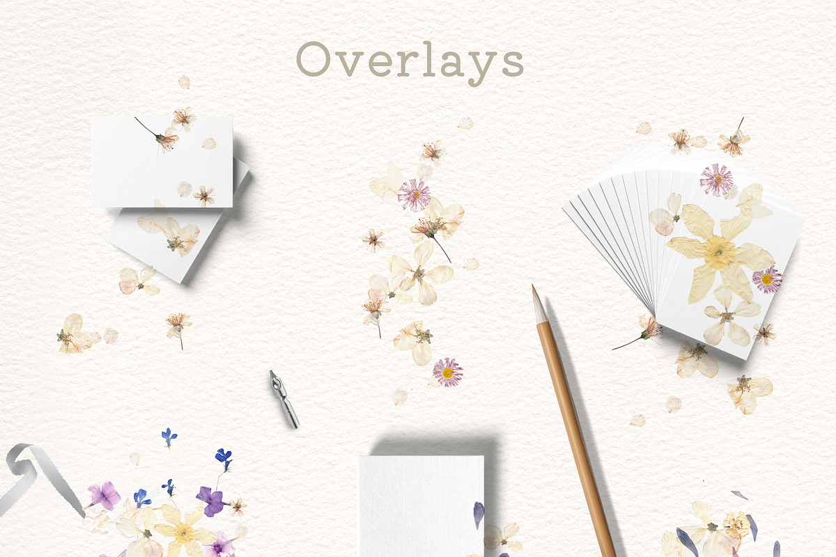 Hana Washi Seamless paper Flower PNG, a Pattern Graphic by mila_leev (Photo 5 of 23)