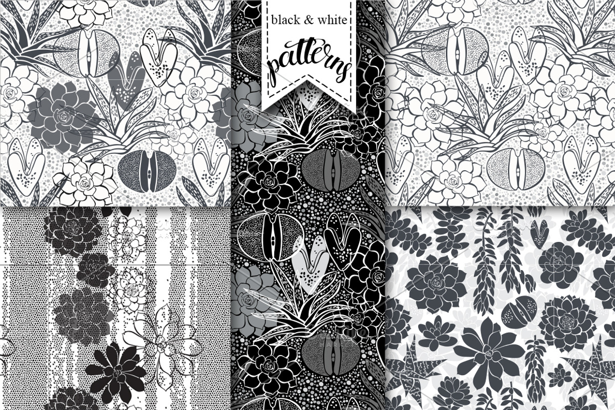 Succulents., an Illustration by maritime_m (Photo 5 of 8)