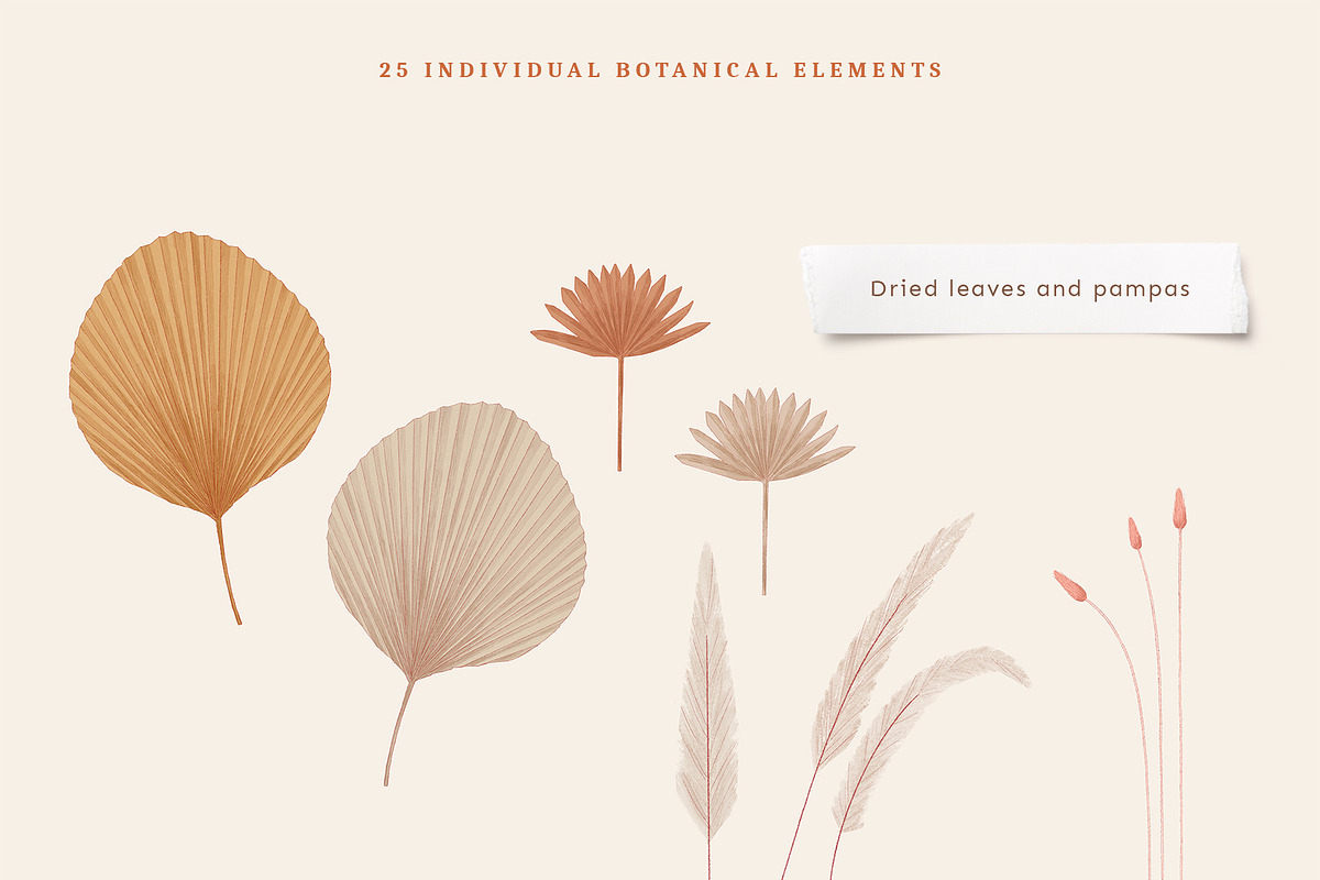 Minimalist Boho Collection, a Texture Illustration by imajineko (Photo 10 of 14)