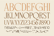 Rosevine – Standard Version, a Serif Font by Hakara Type (Thumbnail 13 of 15)