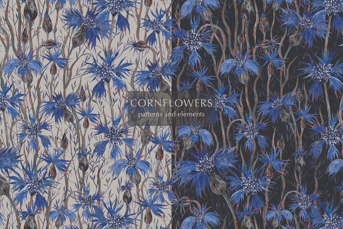 Pattern Cornflowers, an Illustration by PASHKOVA (Photo 14 of 14)