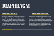 Clab - Family Slab Font, a Slab Serif Font by Say Studio (Thumbnail 10 of 13)