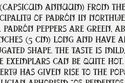 Kanwang Wild Serif, a Serif Font by PeanutButter Type (Thumbnail 3 of 6)