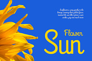 CS Brenda – Script Font, a Script Font by Craft Supply Co. (Thumbnail 3 of 8)