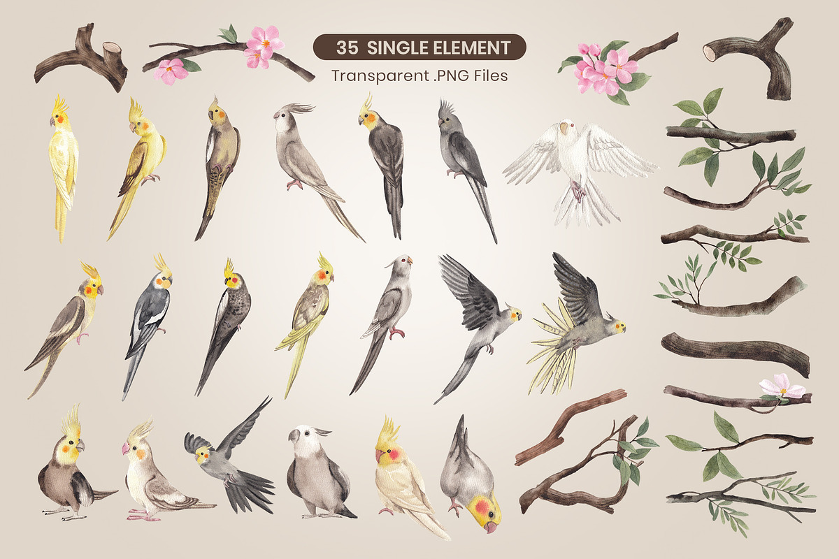 Cockatiel Birds Watercolor, an Animal Illustration by CreativeValuation (Photo 3 of 15)