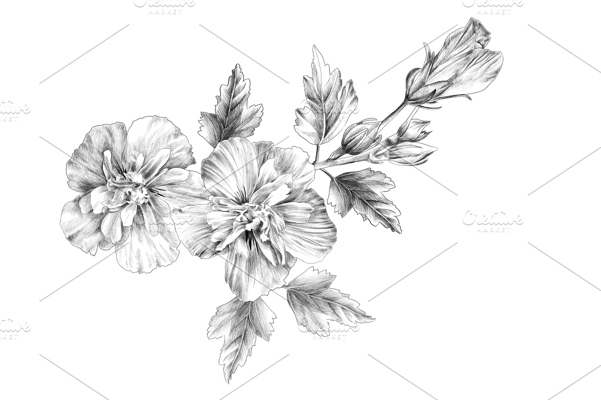Floral Collection, an Object Graphic by VictoriaKStudio (Photo 2 of 7)