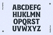 4 Fonts Combo, a Script Font by Kochev Type (Thumbnail 22 of 35)