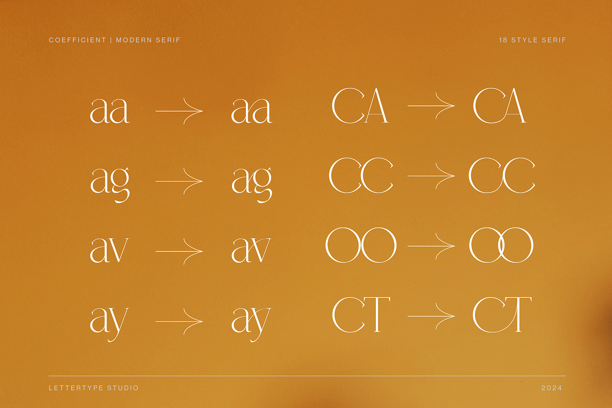 Coefficient Modern & Elegant Serif, a Serif Font by Lettertype Studio (Photo 7 of 18)
