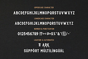 ROTTERHAM - VINTAGE FONT, a Sans Serif Font by Bluestype Studio (Thumbnail 6 of 7)