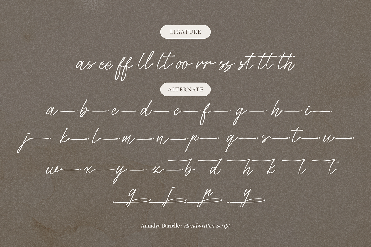 Anindya Barielle Handwritten Script, a Script Font by Denustudios (Photo 15 of 15)