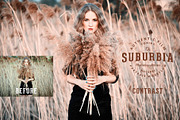 Suburbia Photoshop Actions, an Action Add-On by skybluecreative (Thumbnail 3 of 7)