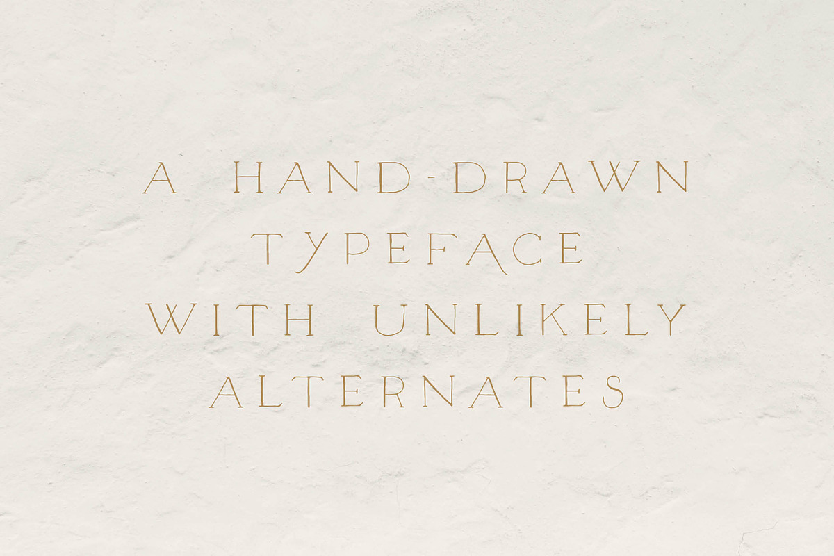 Unlikely Lily - A Hand-Drawn Serif preview 2