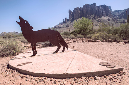 Coyote  sundial