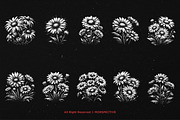 10 Bundle Dark Art Daisy Flower, an Illustration by Morspective (Thumbnail 6 of 7)