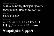 Queen Temoz - Modern Display Font, a Serif Font by twinstd (Thumbnail 8 of 9)