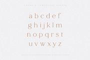 Francie Font Duo, a Serif Font by Ivan Rosenberg (Thumbnail 2 of 14)