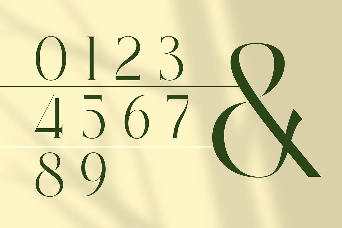 The Larove - Modern Elegant Serif, a Serif Font by Muflieart (Photo 5 of 10)