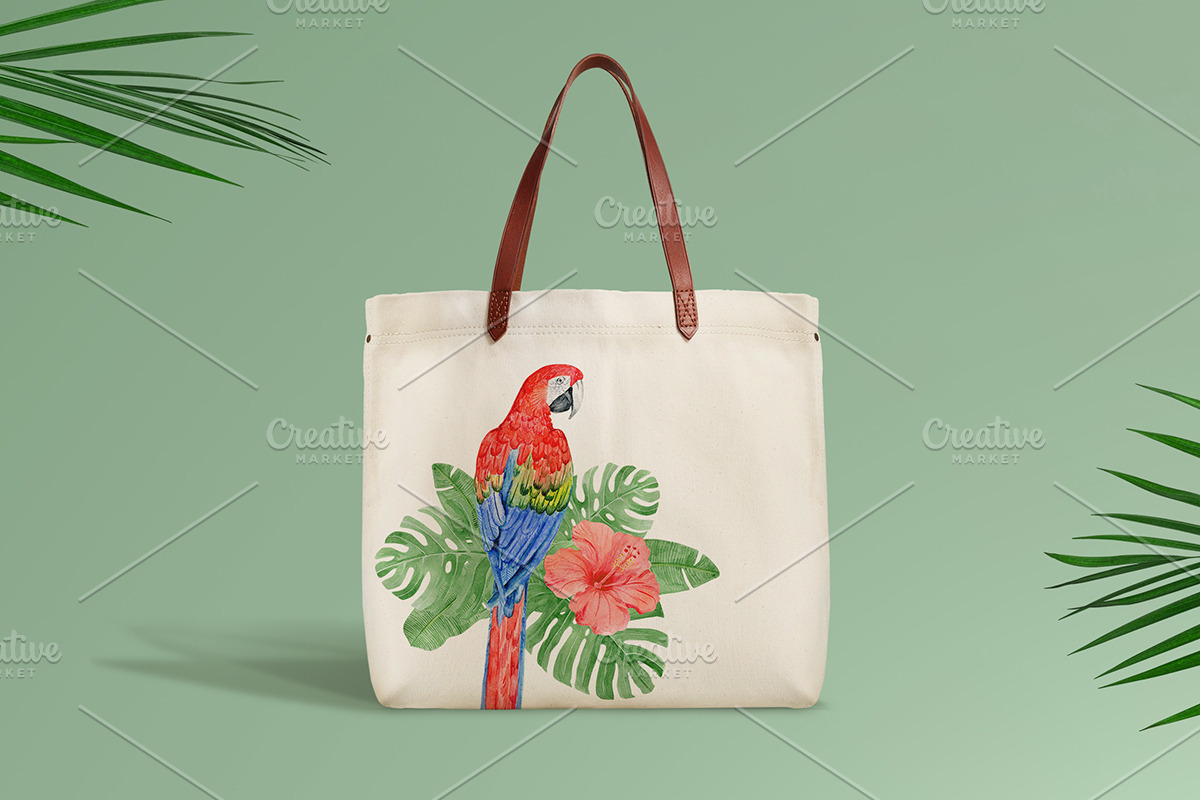 Watercolor tropical elements, an Animal Illustration by AV Design (Photo 7 of 12)