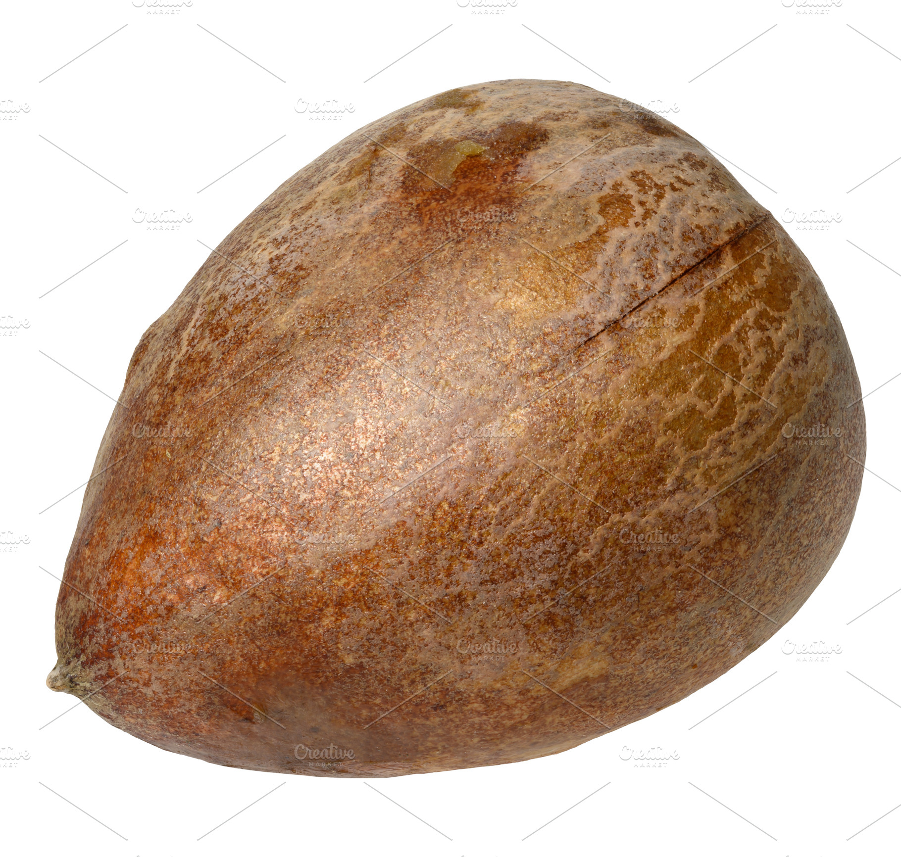 Whole brown avocado pit on isolated background, close up, a Food & Drink Photo by ndanko
