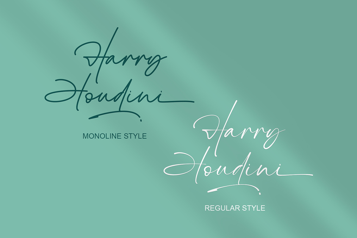 The Billion | Stylish Signature, a Script Font by Lemonthe (Photo 2 of 10)