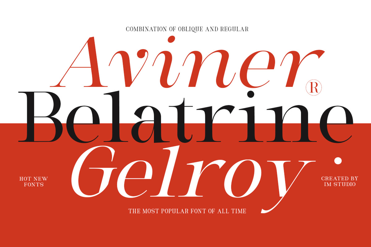 Milghera Serif, a Serif Font by IM Studio (Photo 3 of 12)