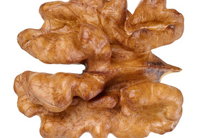 Half of a walnut kernel, macro, isolated background, a Food & Drink Photo by ndanko