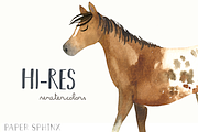 Watercolor Horses Clipart Pack, an Animal Illustration by PaperSphinx (Thumbnail 3 of 3)