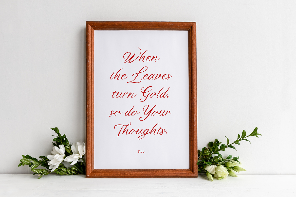 Twizler, a Script Font by Gatype (Photo 11 of 11)