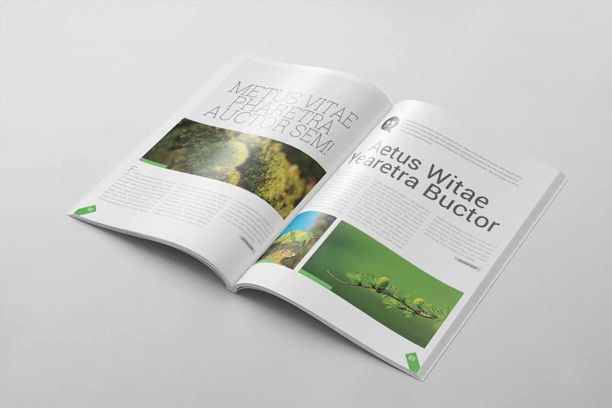 Magazine Template 50, a Magazine Template by pmvch (Photo 17 of 22)