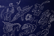 Sky Atlas 50 constellations, an Animal Illustration by ZiziMarket (Thumbnail 3 of 5)