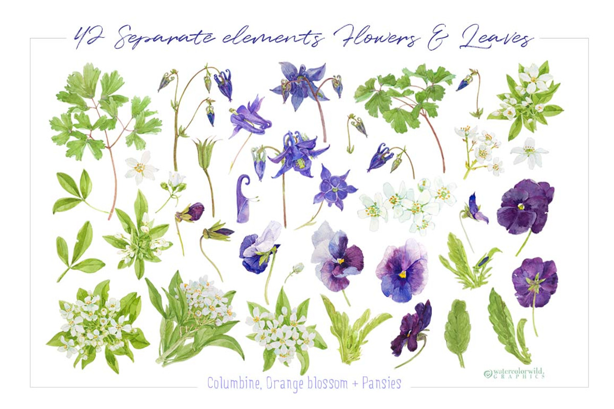 French Blues-Design Pack!, an Illustration by watercolorwild.graphics (Photo 3 of 11)