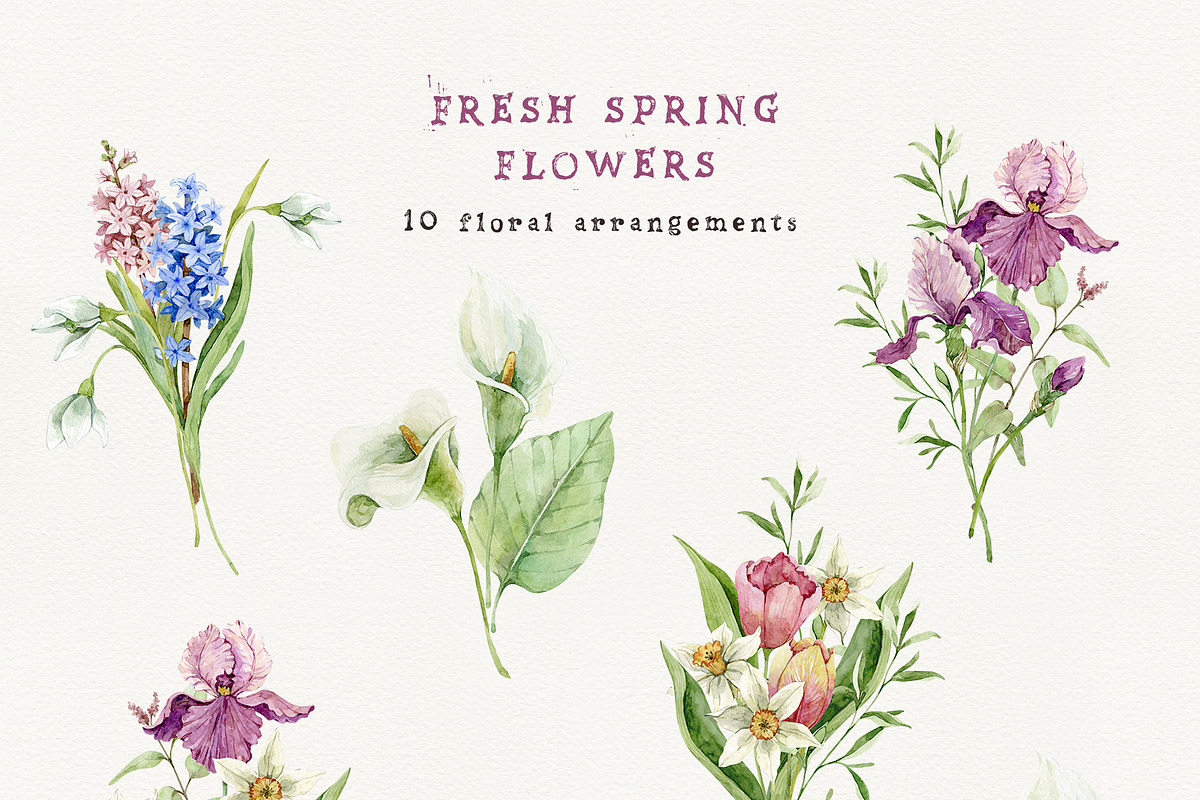 FRESH SPRING FLOWERS watercolor set, a Decorative Illustration by long summer (Photo 3 of 11)