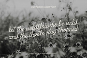 Thistlewyn by Cindy Roaming Designs, a Script Font by cindyroamingdesigns (Thumbnail 3 of 6)