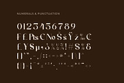 Gheklyn - Serif Typeface Font, a Serif Font by Rishsketch (Thumbnail 13 of 15)