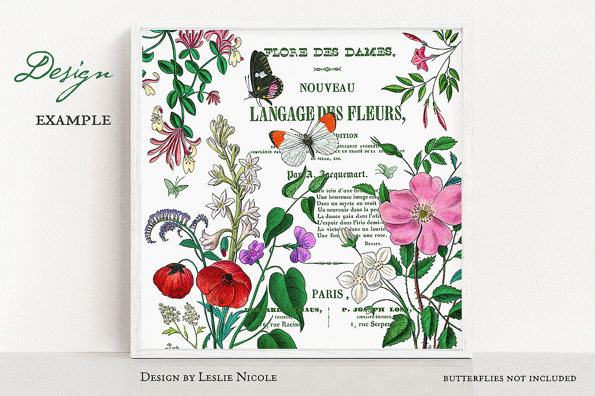 Flore des Dames Vintage French, an Illustration by French Kiss Collections (Photo 16 of 16)