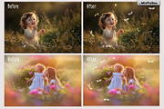 Dragonfly Photo Overlays preview 2