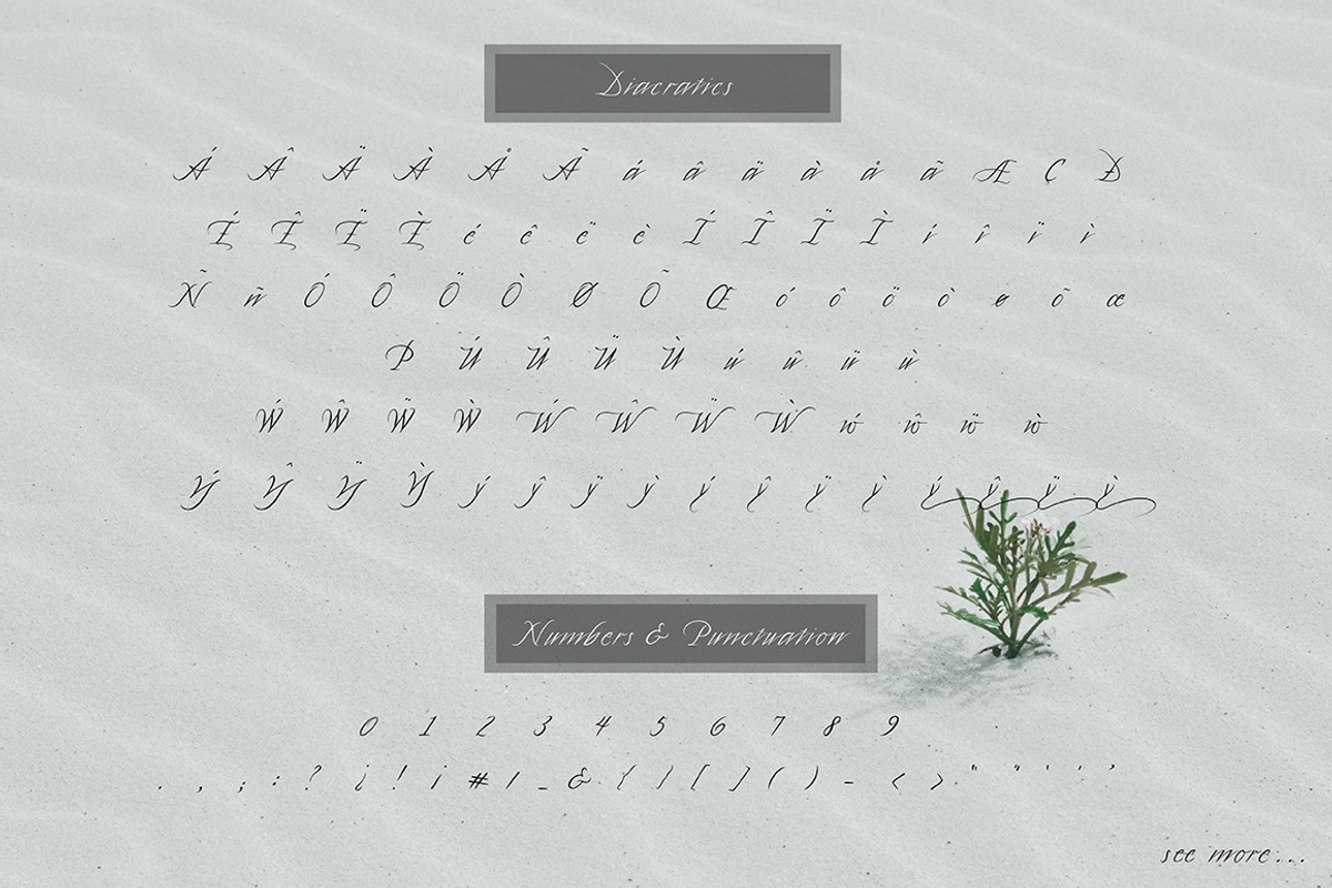 Quinton Script Font, a Script Font by Sala.Ink (Photo 9 of 10)